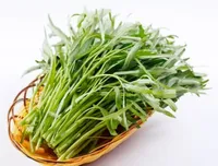 Rau Muống