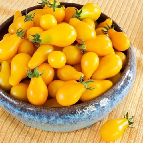 Cà Chua Cherry Vàng (dài)