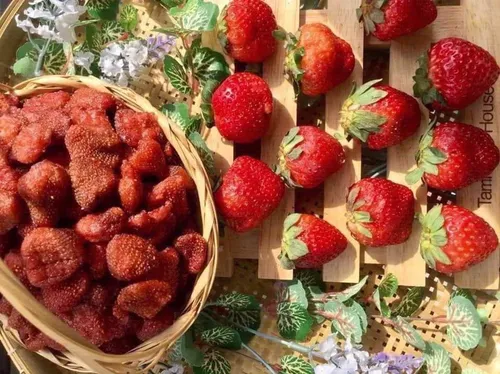 Dâu tây Đà Lạt sấy dẻo
