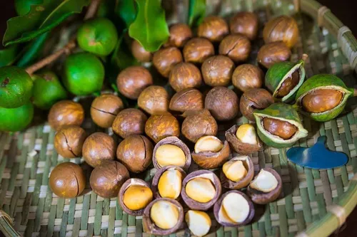 Hạt Macca Sấy Khô