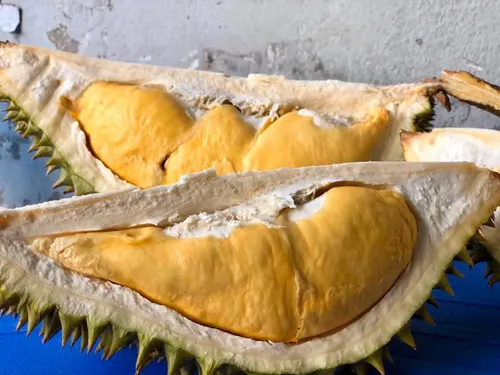 Sầu Riêng