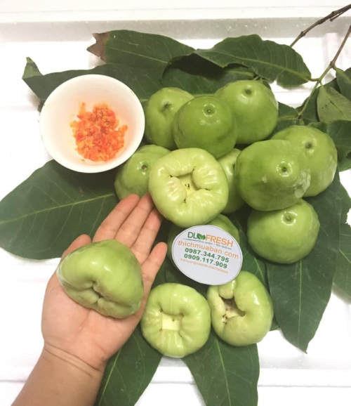 Mận Xanh Đường