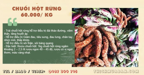 Chuối Hột Rừng