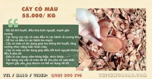 Cây Cỏ Máu
