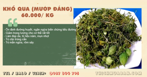 Dây Khổ Qua (Mướp Đắng) rừng khô
