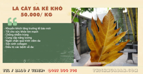 Lá Cây Sa Kê khô