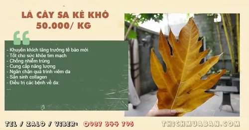 Lá Cây Sa Kê khô