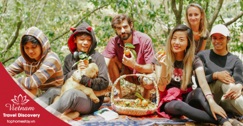 Tour Du Lịch Cắm Trại Vườn Hồng Cầu Đất - Săn Mây Cầu Gỗ Đà Lạt 2 ngày 1 đêm