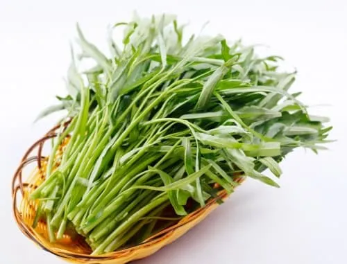 Rau Muống