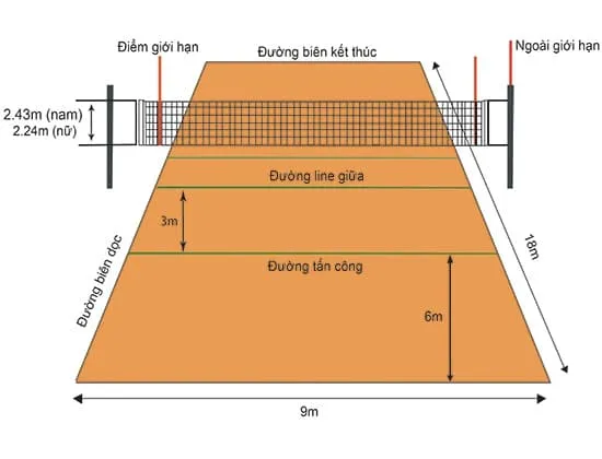 Kích thước sân bóng chuyền tiêu chuẩn thi đấu và cách vẽ sân?
