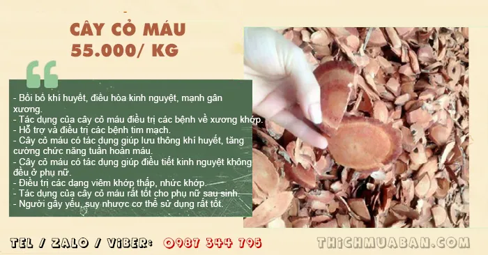 Cây Cỏ Máu